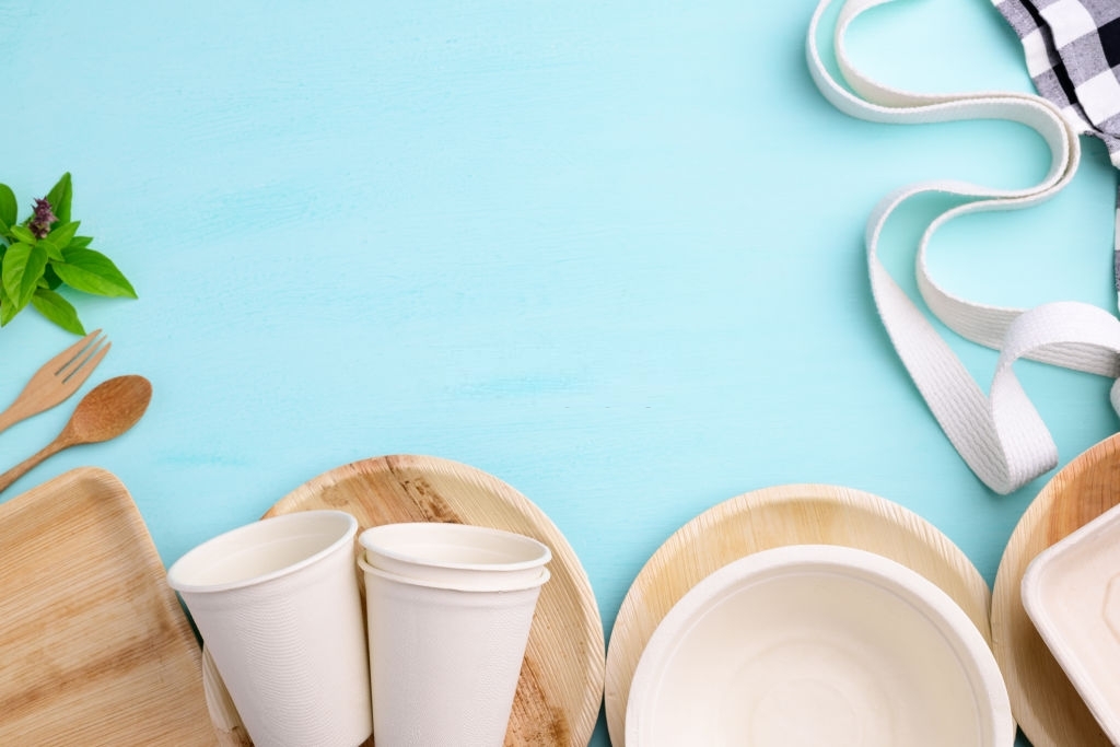 Biodegradable, Compostable, Disposable or Eco friendly utensil (plate, dish, bowl, cup) on pastel color background, Sustainable concept